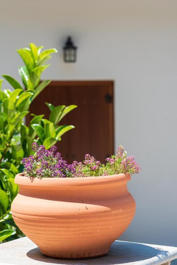 Άλυσσος Suites Tsagkarada Buitenkant foto